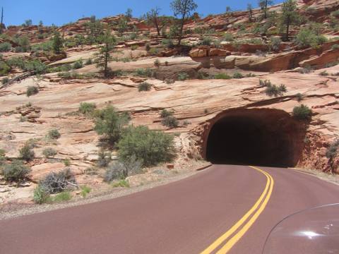 Bryce / Zion Tour photo 9
