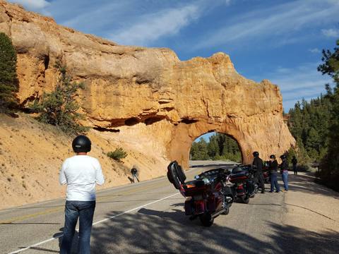 Bryce / Zion Tour photo 20