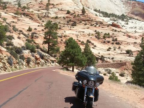 Bryce / Zion Tour photo 40