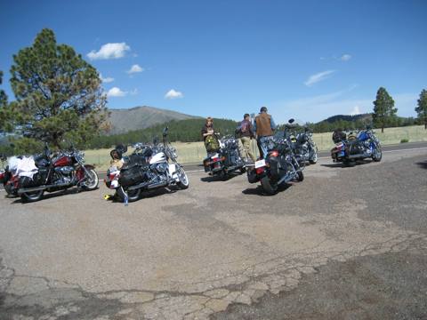 Northern Tour photo 18