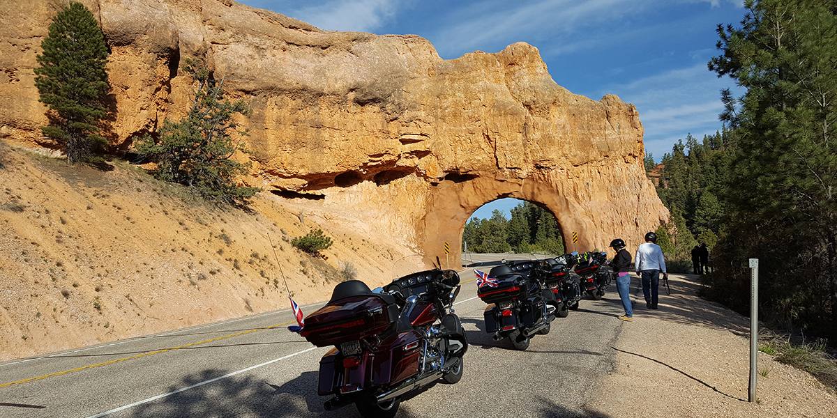 Bryce / Zion Tour